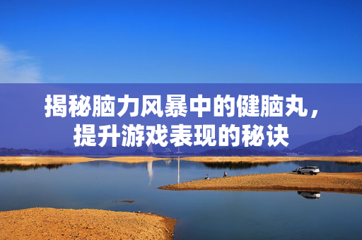 揭秘脑力风暴中的健脑丸，提升游戏表现的秘诀