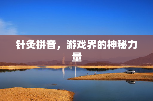 针灸拼音,游戏界的神秘力量 针灸拼音,游戏界的神秘力量