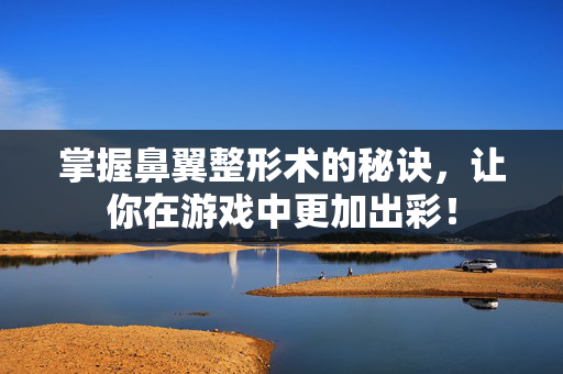 掌握鼻翼整形术的秘诀，让你在游戏中更加出彩！