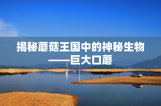 揭秘蘑菇王国中的神秘生物——巨大口蘑