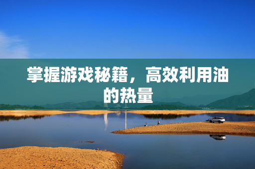 掌握游戏秘籍，高效利用油的热量