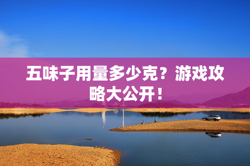 五味子用量多少克?游戏攻略大公开! 五味子用量多少克?游戏攻略大公开!