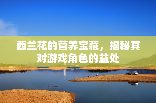 西兰花的营养宝藏，揭秘其对游戏角色的益处