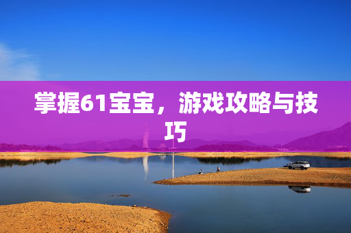 掌握61宝宝，游戏攻略与技巧