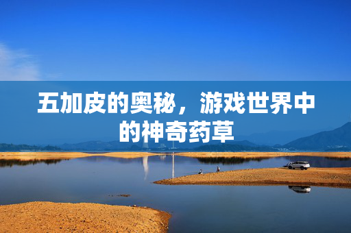 五加皮的奥秘，游戏世界中的神奇药草