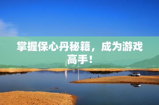 掌握保心丹秘籍，成为游戏高手！