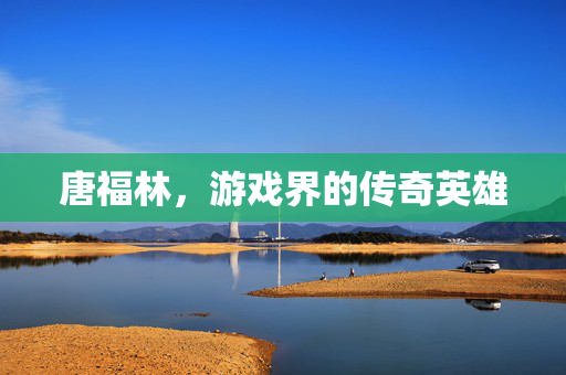 唐福林，游戏界的传奇英雄