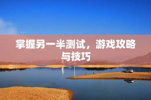 掌握另一半测试，游戏攻略与技巧