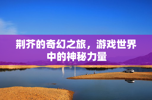 荆芥的奇幻之旅，游戏世界中的神秘力量