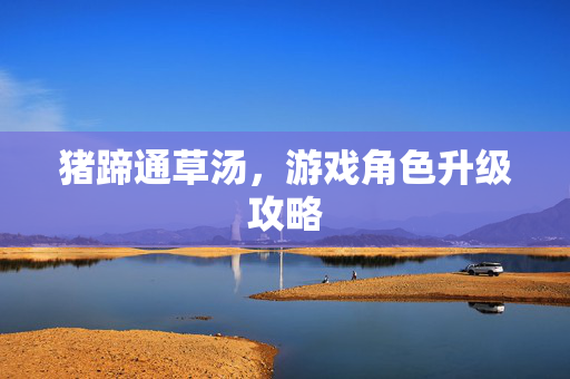猪蹄通草汤，游戏角色升级攻略