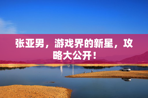 张亚男，游戏界的新星，攻略大公开！