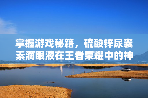 掌握游戏秘籍，硫酸锌尿囊素滴眼液在王者荣耀中的神奇功效