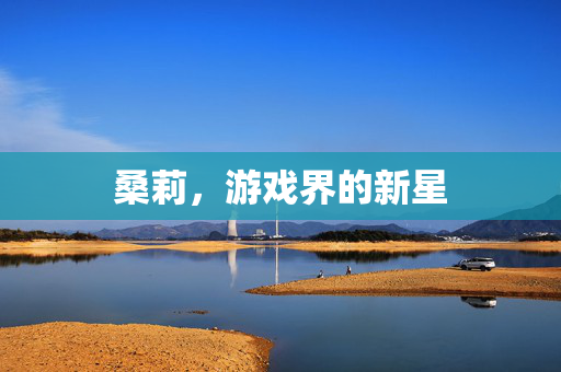 桑莉，游戏界的新星