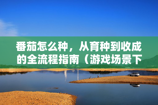 番茄怎么种，从育种到收成的全流程指南（游戏场景下种子种植适配）