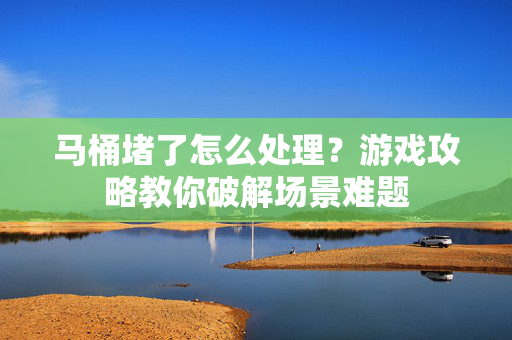 马桶堵了怎么处理？游戏攻略教你破解场景难题