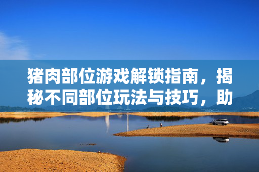 猪肉部位游戏解锁指南，揭秘不同部位玩法与技巧，助你轻松通关