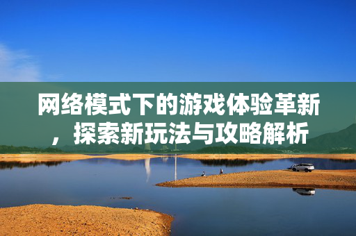 网络模式下的游戏体验革新，探索新玩法与攻略解析