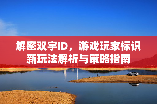 解密双字ID，游戏玩家标识新玩法解析与策略指南