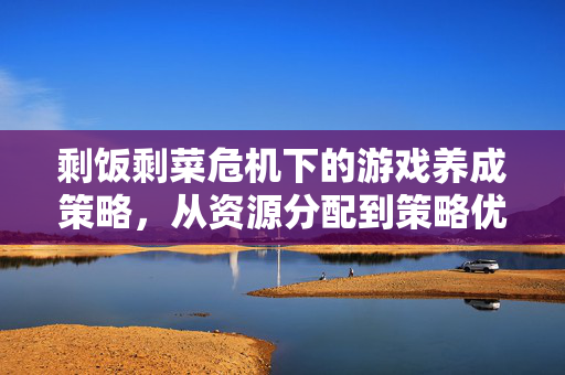 剩饭剩菜危机下的游戏养成策略，从资源分配到策略优化，破解生存难题