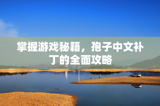 掌握游戏秘籍，孢子中文补丁的全面攻略