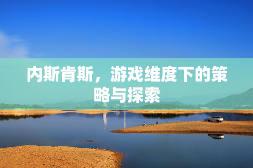 内斯肯斯，游戏维度下的策略与探索