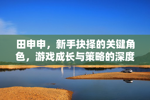 田申申，新手抉择的关键角色，游戏成长与策略的深度解析