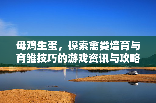 母鸡生蛋，探索禽类培育与育雏技巧的游戏资讯与攻略