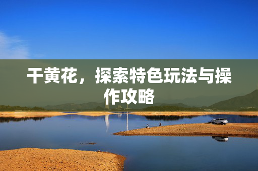 干黄花，探索特色玩法与操作攻略