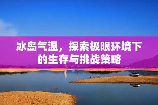 冰岛气温，探索极限环境下的生存与挑战策略