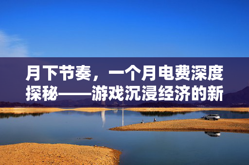 月下节奏，一个月电费深度探秘——游戏沉浸经济的新解法