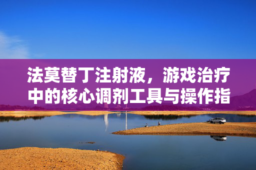 法莫替丁注射液，游戏治疗中的核心调剂工具与操作指南法莫替丁注射液，游戏治疗中的核心调剂工具与操作指南