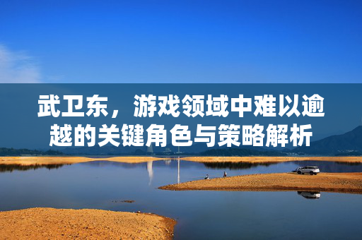 武卫东，游戏领域中难以逾越的关键角色与策略解析