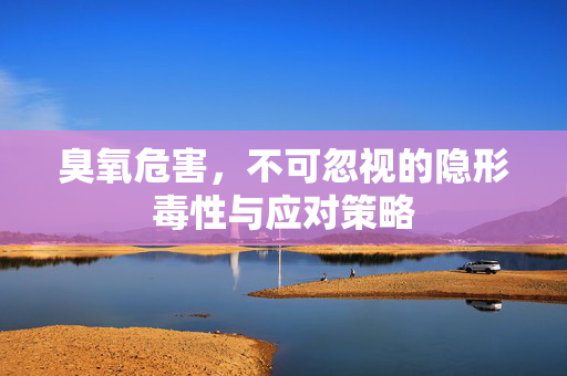 臭氧危害,不可忽视的隐形毒性与应对策略 臭氧危害,不可忽视的隐形毒性与应对策略