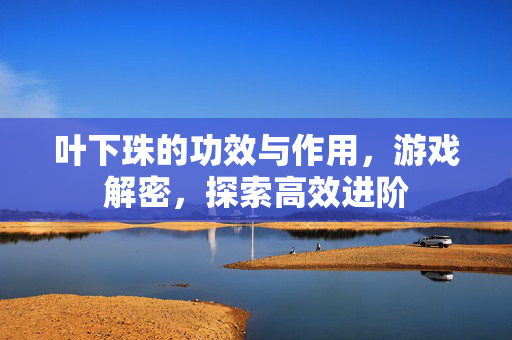 叶下珠的功效与作用，游戏解密，探索高效进阶