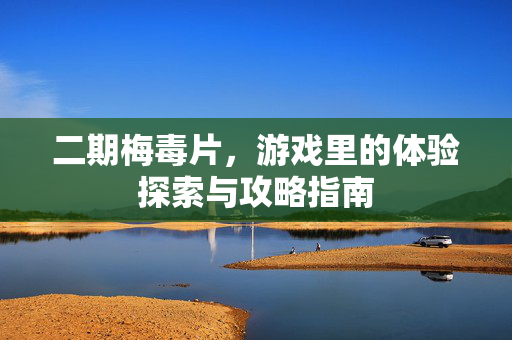 二期梅毒片，游戏里的体验探索与攻略指南
