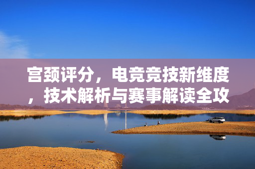 宫颈评分，电竞竞技新维度，技术解析与赛事解读全攻略