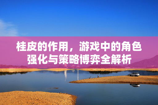 桂皮的作用，游戏中的角色强化与策略博弈全解析