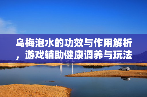 乌梅泡水的功效与作用解析，游戏辅助健康调养与玩法进阶攻略