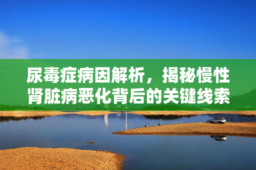 尿毒症病因解析，揭秘慢性肾脏病恶化背后的关键线索