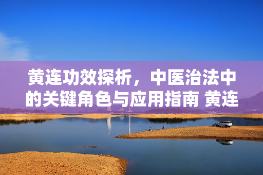 黄连功效探析，中医治法中的关键角色与应用指南 黄连功效探析，中医治法中的关键角色与应用指南
