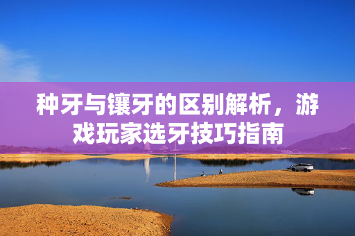 种牙与镶牙的区别解析，游戏玩家选牙技巧指南