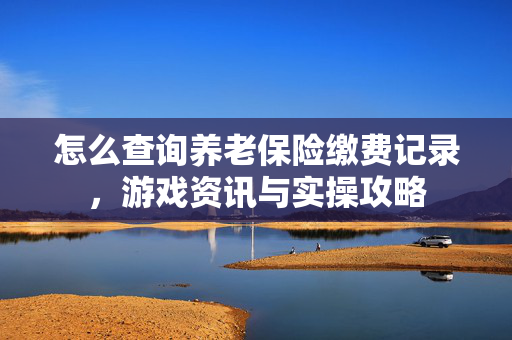 怎么查询养老保险缴费记录，游戏资讯与实操攻略