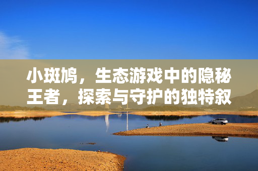 小斑鸠，生态游戏中的隐秘王者，探索与守护的独特叙事