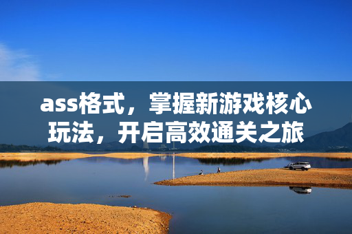 ass格式，掌握新游戏核心玩法，开启高效通关之旅