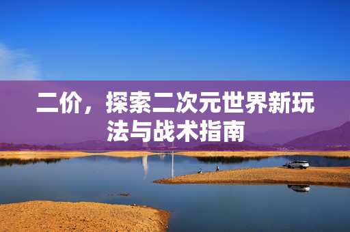 二价，探索二次元世界新玩法与战术指南