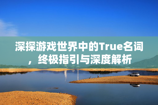 深探游戏世界中的True名词,终极指引与深度解析 深探游戏世界中的True名词,终极指引与深度解析