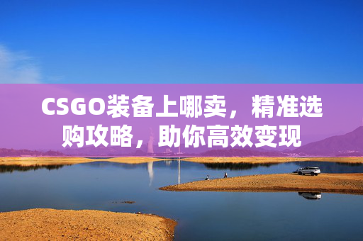 CSGO装备上哪卖，精准选购攻略，助你高效变现