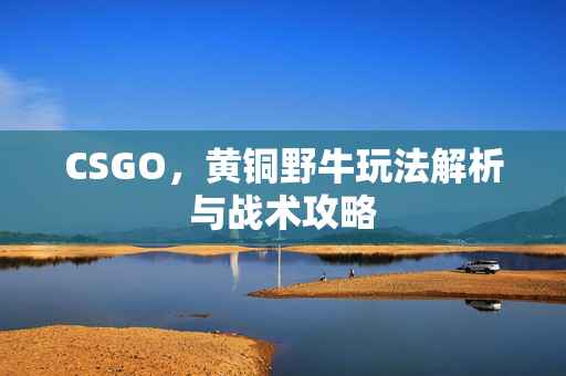 CSGO，黄铜野牛玩法解析与战术攻略