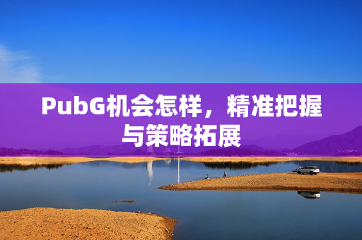 PubG机会怎样，精准把握与策略拓展