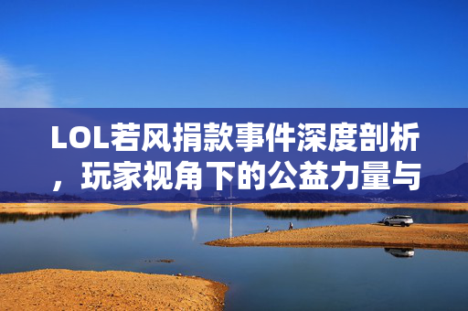 LOL若风捐款事件深度剖析，玩家视角下的公益力量与挑战